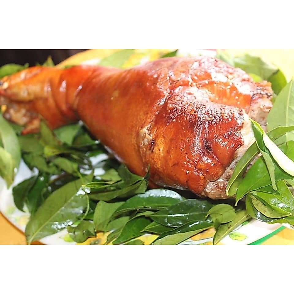 Cây mắc mật ăn lá (được kiểm tra hàng có bảo hành)