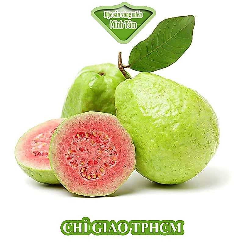 Ổi TRÂN CHÂU RUỘT ĐỎ [CHỈ GIAO HCM]