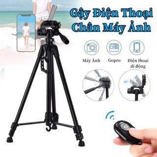 Chân máy ảnh Tripod điện thoại Chân máy ảnh Weifeng WT-3520 khung nhôm cao cấp tải trọng 3kg có túi đeo tặng kèm kẹp ĐT