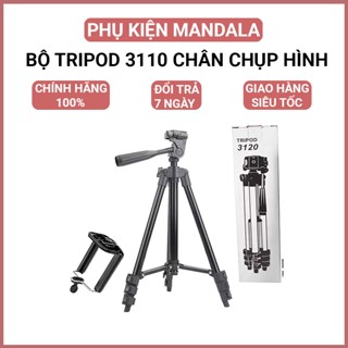 Bộ Tripod 3110 Chân Chụp Hình ( Tặng : Giá Đỡ Điện Thoại + Remote )
