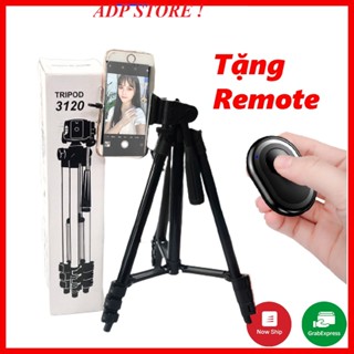 GIÁ ĐỠ 3 CHÂN MÁY MÁY ẢNH, ĐIỆN THOẠI TRIPOD 3120 - REMOTE ĐIỀU KHIỂN