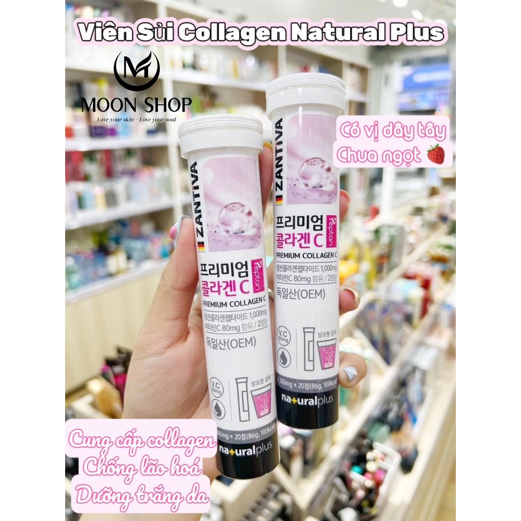𝐕𝐢𝐞̂𝐧 𝐬𝐮̉𝐢 𝐜𝐨𝐥𝐥𝐚𝐠𝐞𝐧 𝐂 - 𝐙𝐚𝐧𝐭𝐢𝐯𝐚 𝐏𝐫𝐞𝐦𝐢𝐮𝐦 𝐂𝐨𝐥𝐥𝐚𝐠𝐞𝐧 𝐂