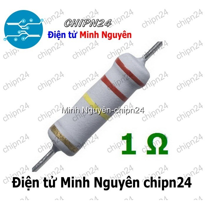 [5 con] (F363) Điện Trở 1R 2W 5%