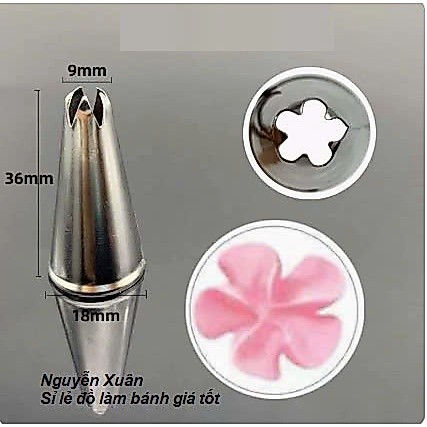 Đui sao 5 cánh