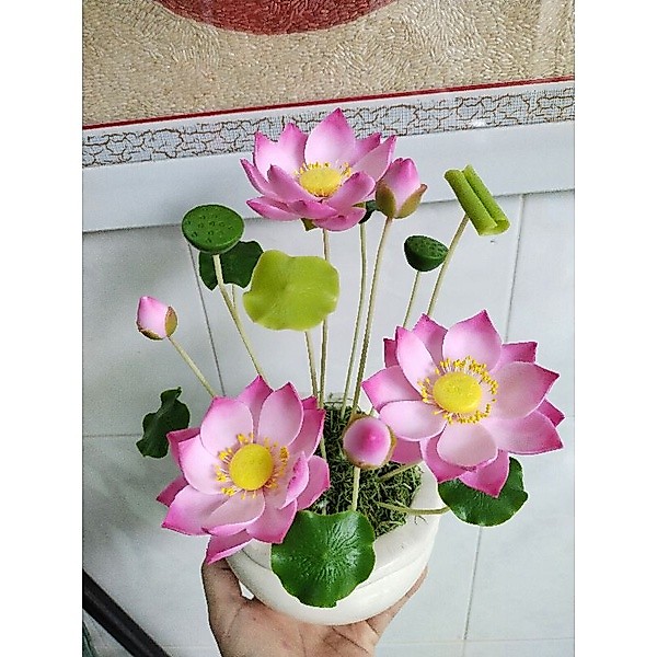 Chậu sen đất sét size nhỏ