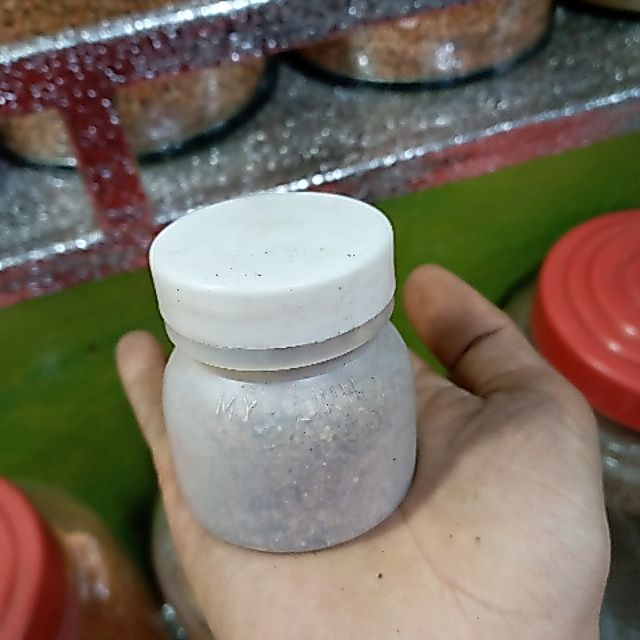 Muối tieu lop