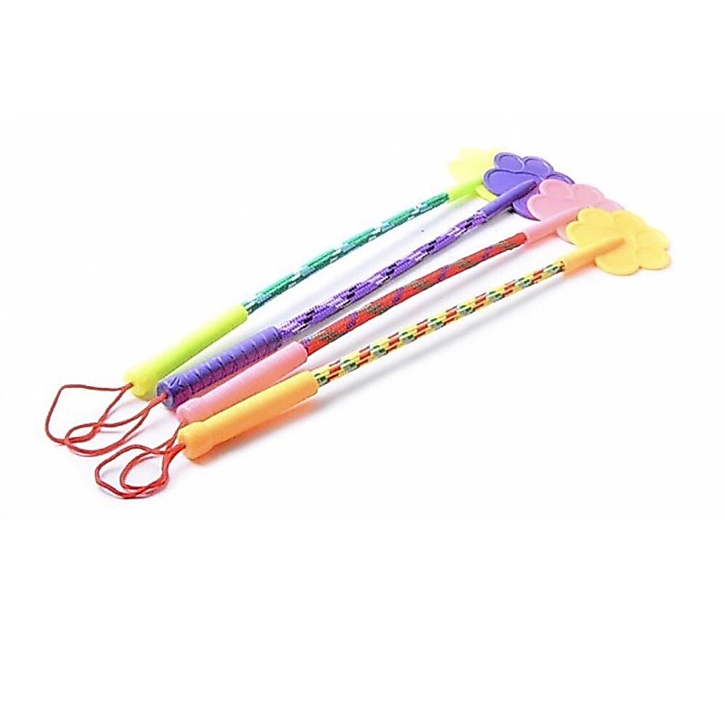 Roi kỷ luật (roi huấn luyện) thú cưng