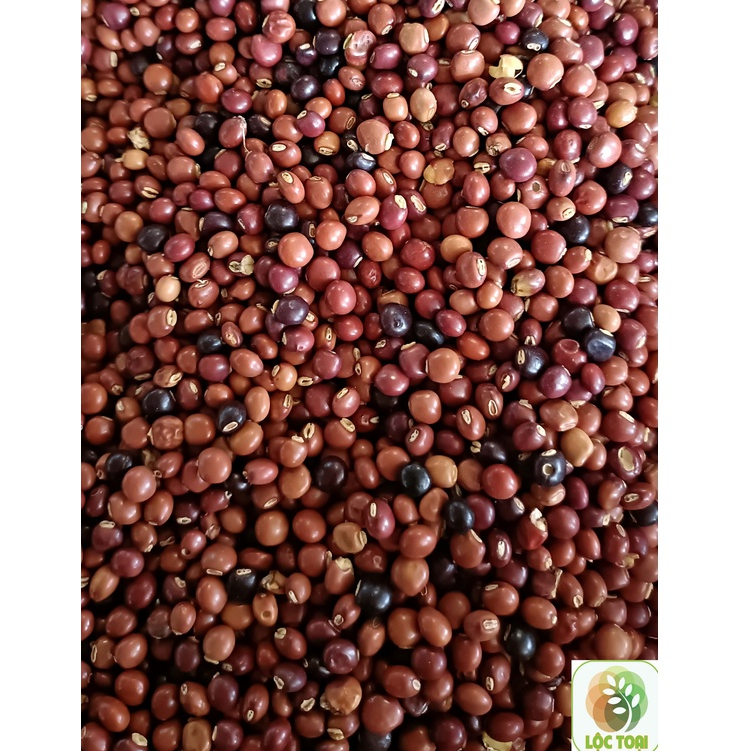 1kg Hạt đậu săng (đậu chiều)