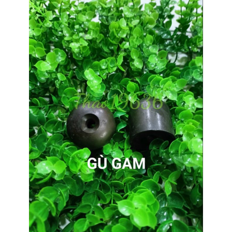 Gù gam xipo