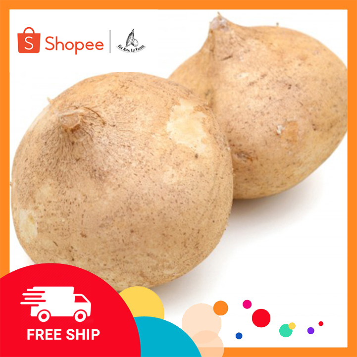 Củ Sắn (củ đậu) (1kg) ở TpHCM [GIAO HOẢ TỐC] (Yam).