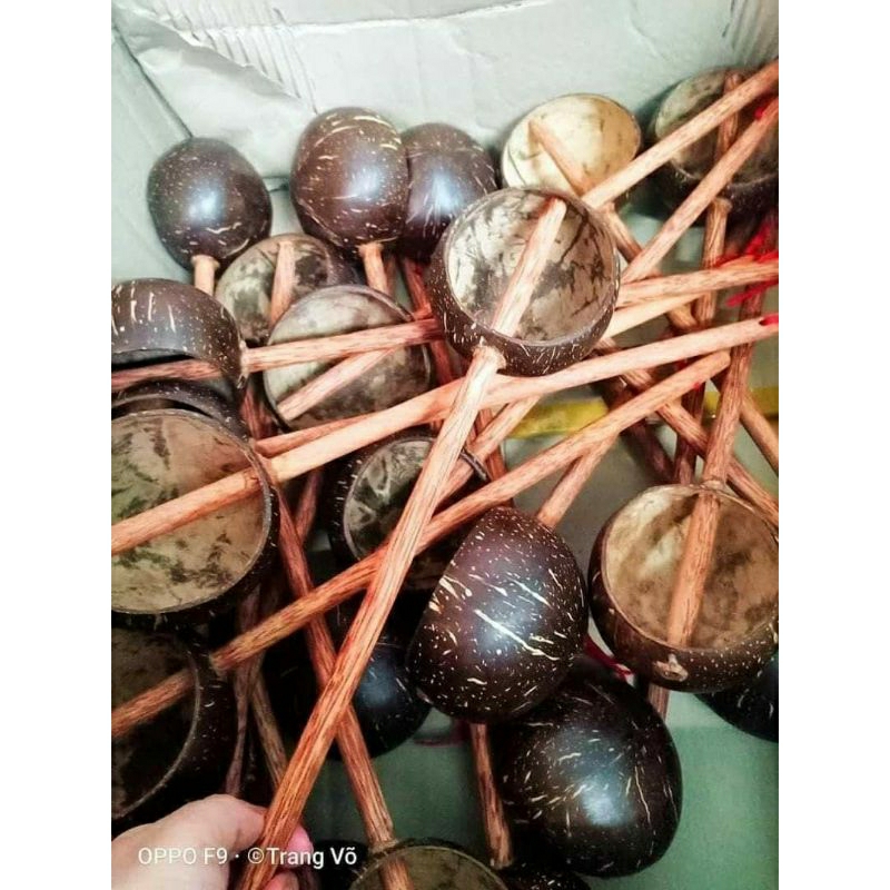 Gáo dừa dưỡng sinh