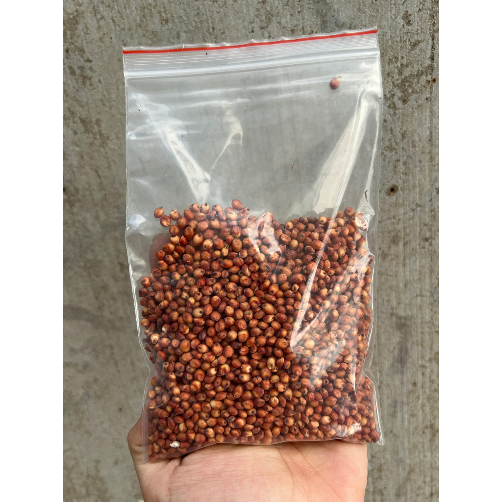 [200g] Hạt Bo bo đỏ 200g