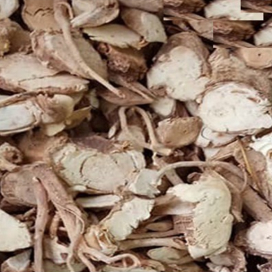 Rễ Đinh Lăng Khô ( Thái Lát 1kg)