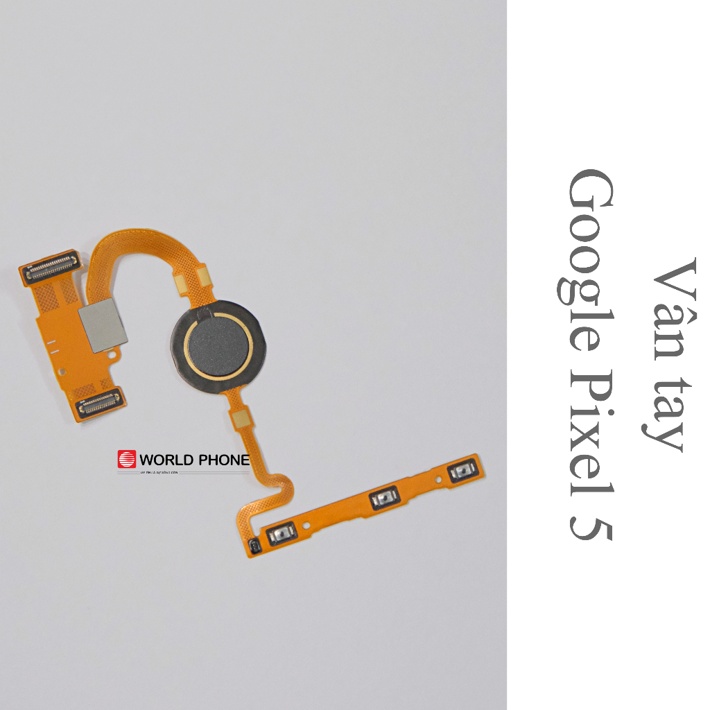 Vân tay Google Pixel 5