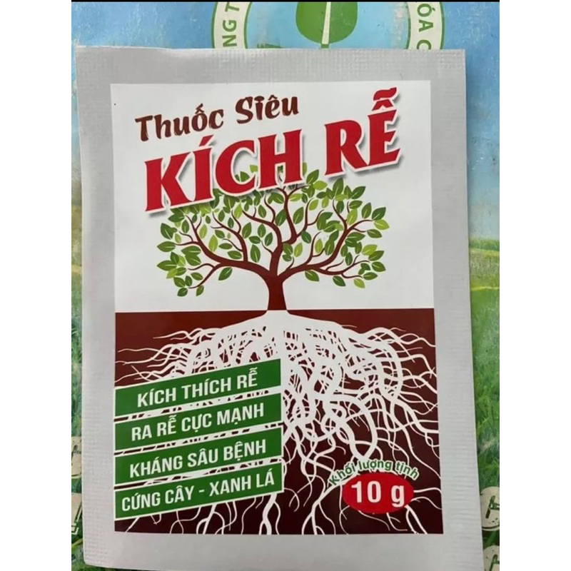 Phân bón kích rễ chiếc cành ngâm cành