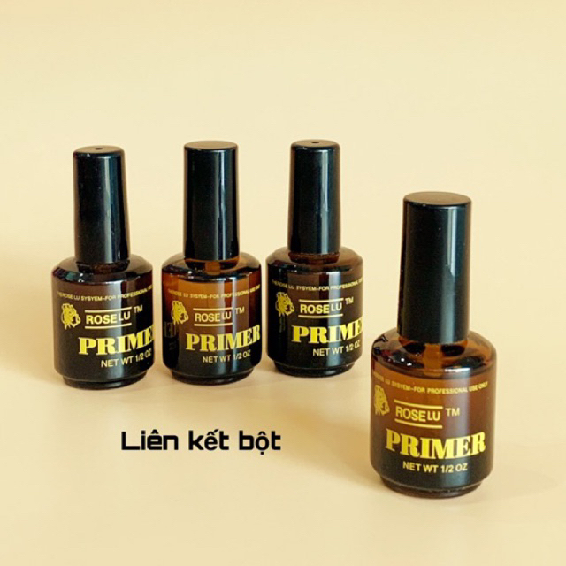 Liên kết bột Rose Primer