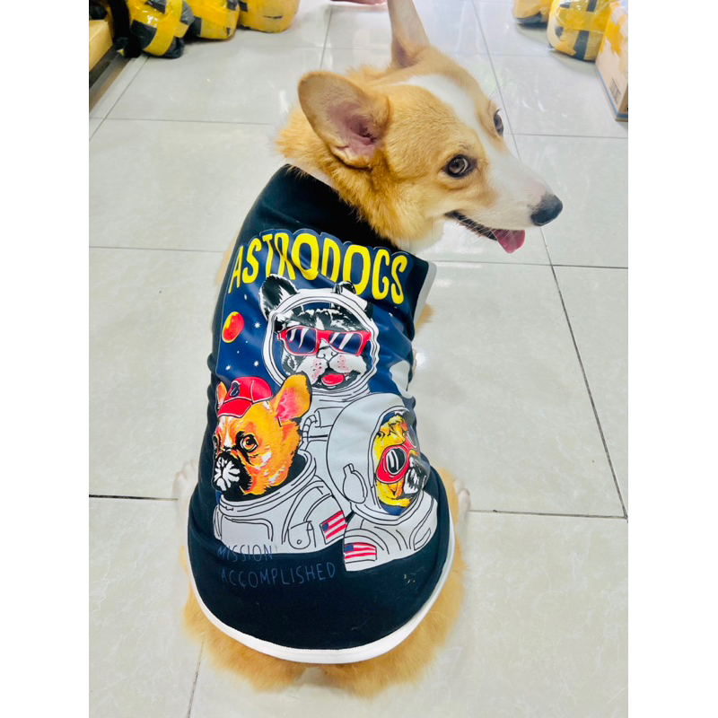 Áo cho chó corgi