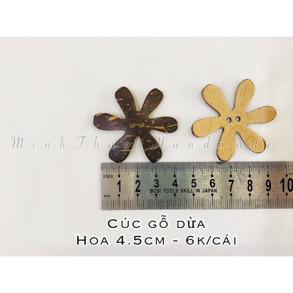 Cúc gỗ dừa