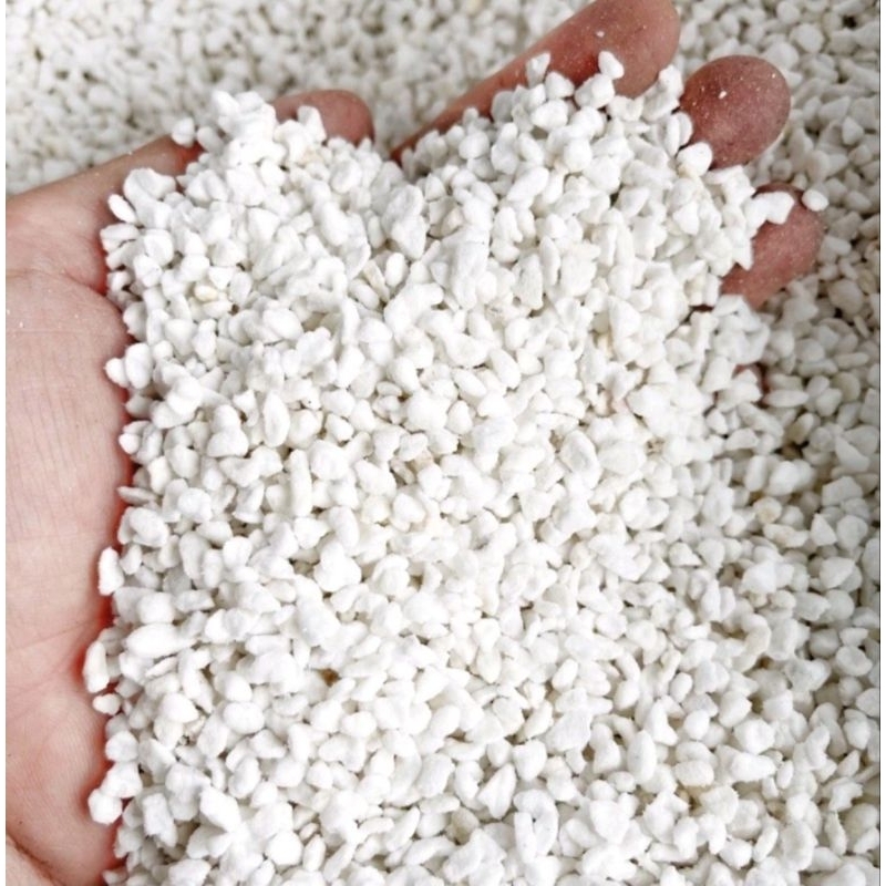 đá perlite túi 100g (1lít)