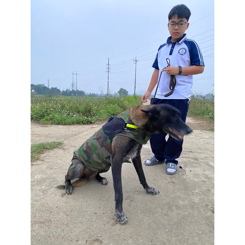 Áo chống rét dành cho Chó