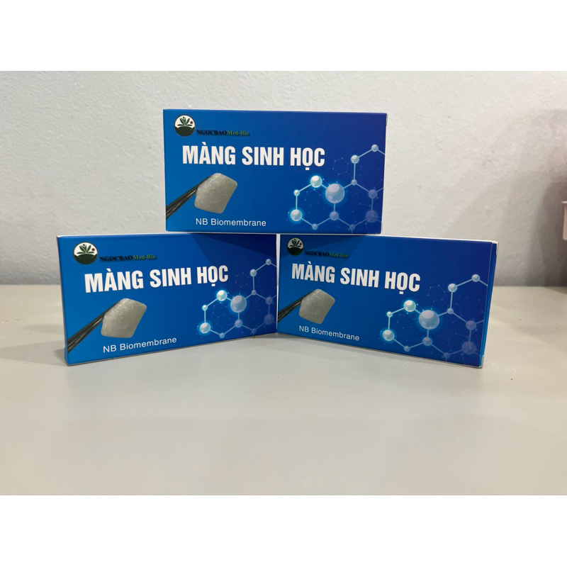 Màng sinh học 𝐜𝐡𝐨 𝐈𝐌𝐏𝐋𝐀𝐍𝐓 𝐭𝐫𝐨𝐧𝐠 𝐍𝐡𝐚 𝐊𝐡𝐨𝐚