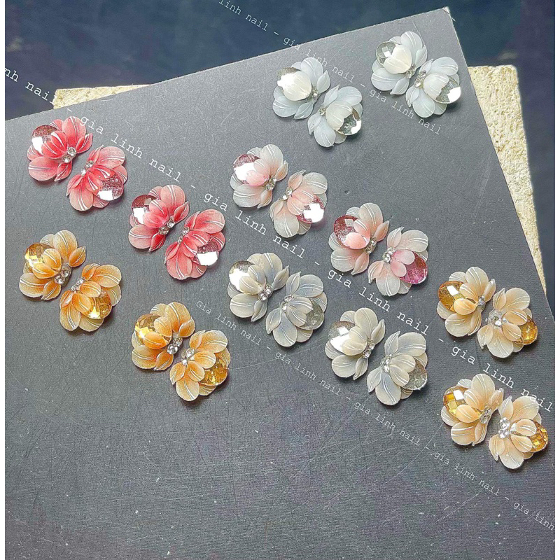 Hoa bột cúc đá ( set 2 bông và 10 bông )
