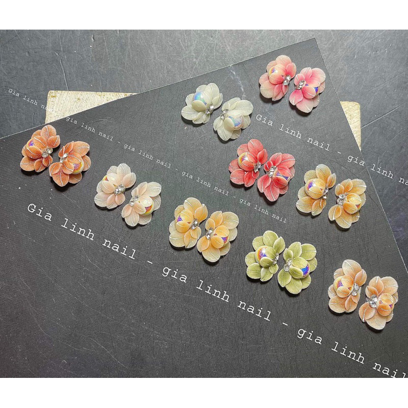 Hoa bột cúc trai ( set 2 và 10 bông )
