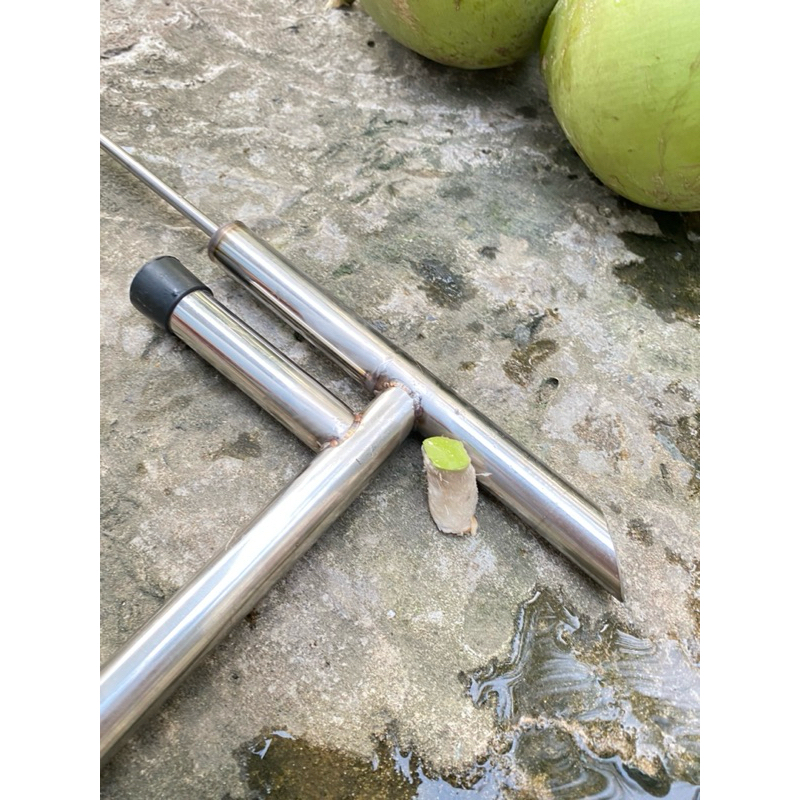 Cây đục dừa, Búa đục dừa Mới
