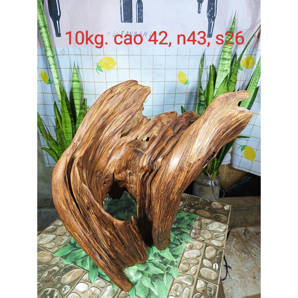 lũa ngọc am đỏ