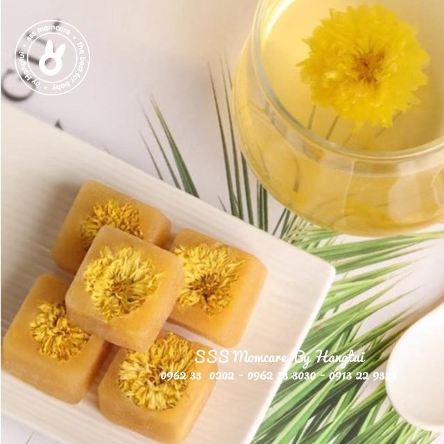 Trà hoa cúc Herb Tea