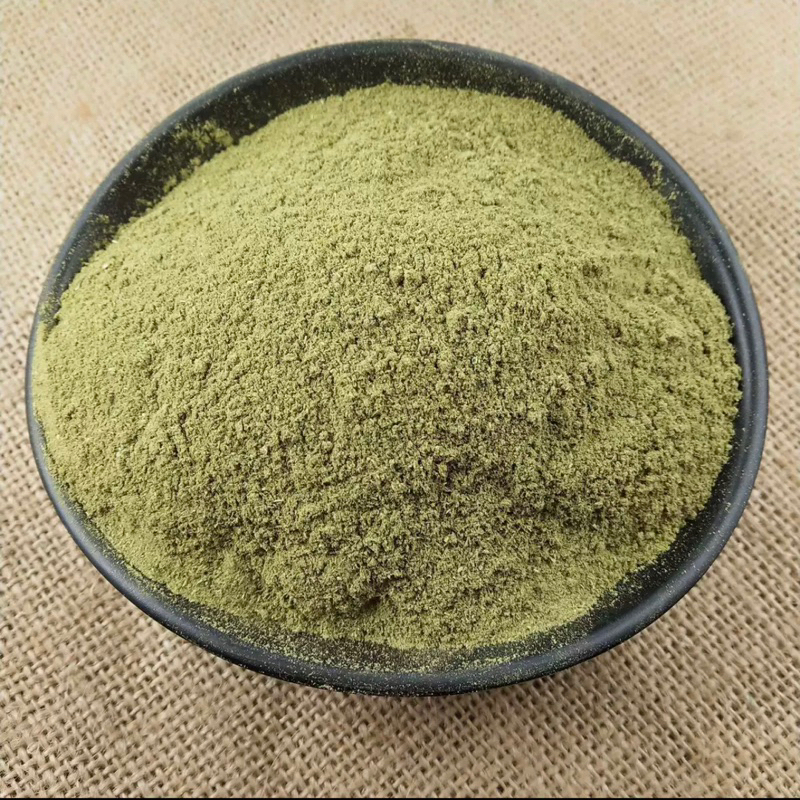 Trắc bá diệp (trắc bách diệp)