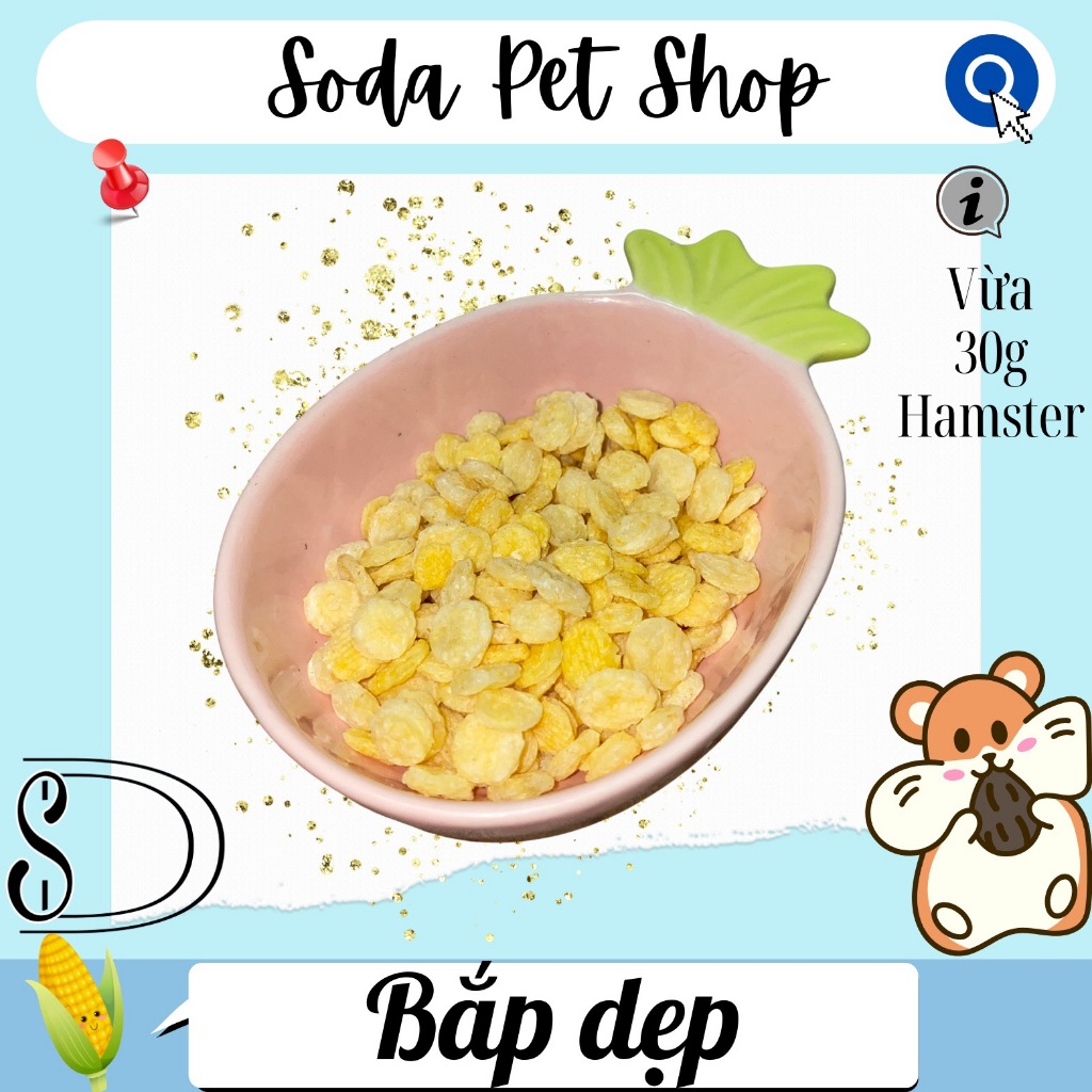 Bắp Dẹp Cho Hamster