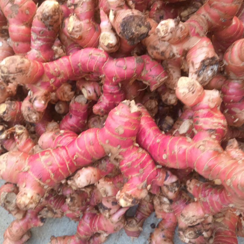 củ giềng đỏ 1kg