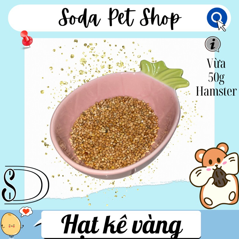 Hạt Kê Vàng Cho Hamster