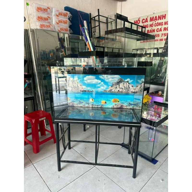 Hồ cá 80x40x50 kính 5ly/ 8ly Bình Dương, HCM, ĐNai. ĐỌC MÔ TẢ SẢN PHẨM.