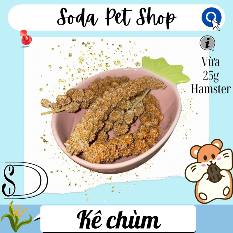 Kê Chùm Cho Hamster