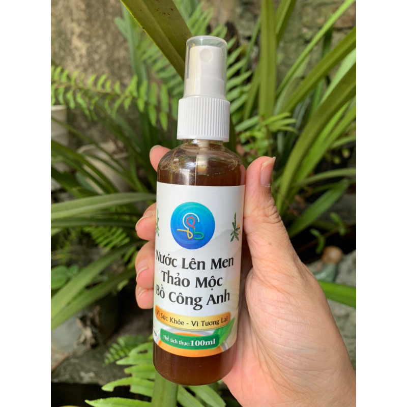 Vi sinh bồ công anh