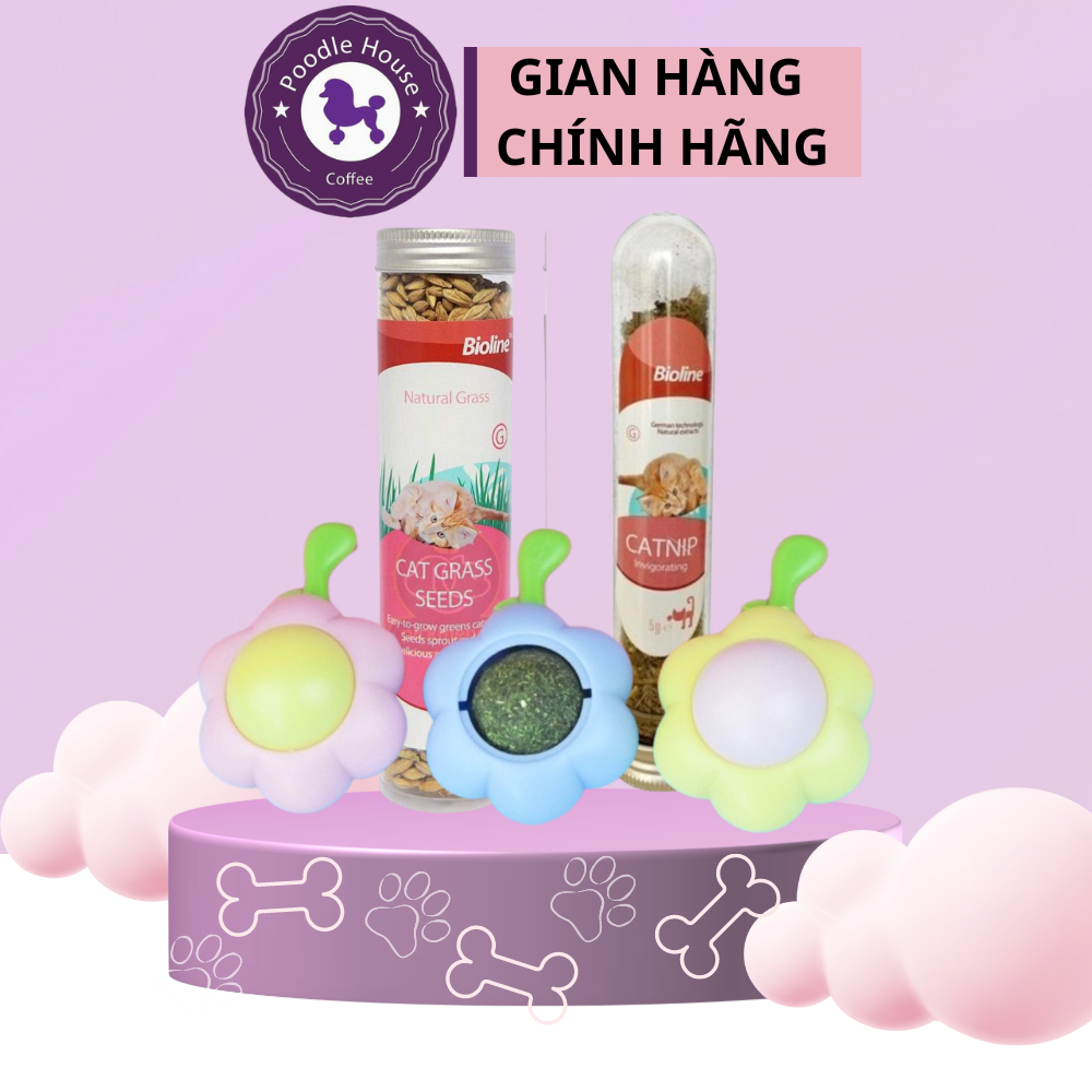 Cỏ Mèo Khô