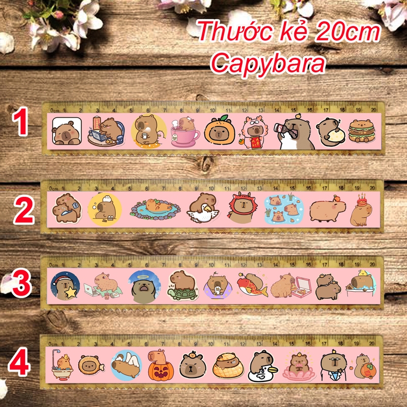Thước kẻ CapyBara (nhiều mẫu lựa chọn, 20cm, 15k/1 cái)