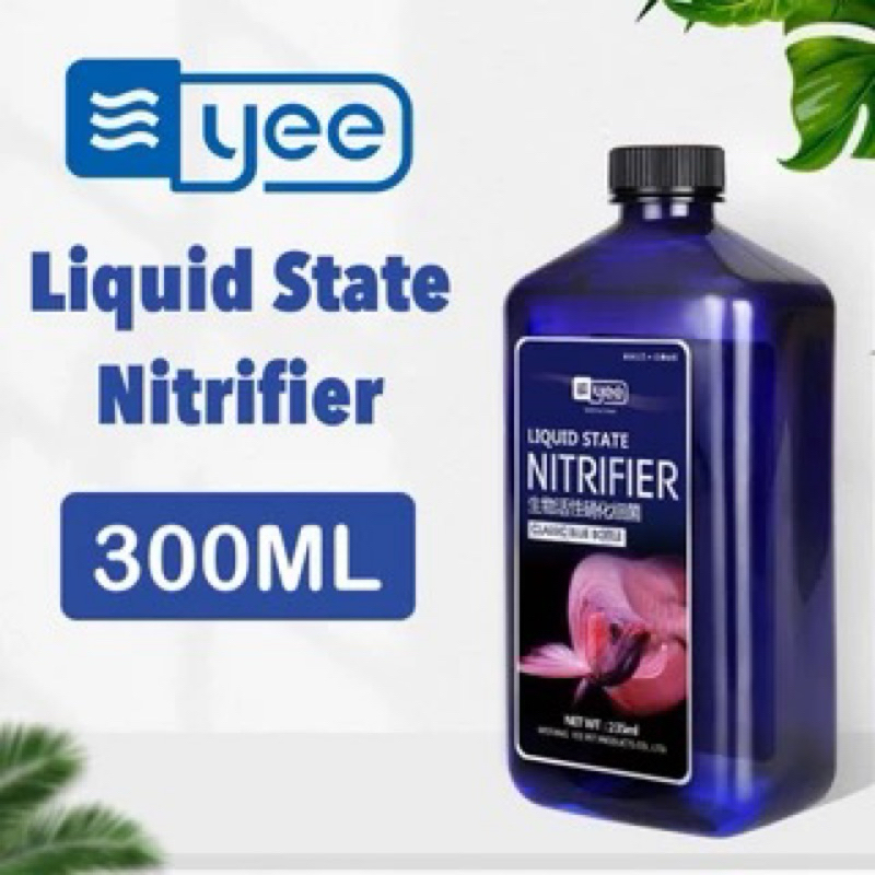 Vi sinh  Nitrifier hãng YEE [xử lý nitrat hoá đầu nguồn khử khuẩn và phòng chống bệnh]