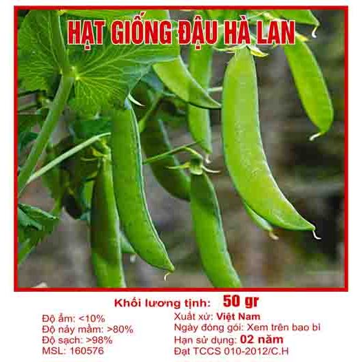 Hạt giống đậu hà lan