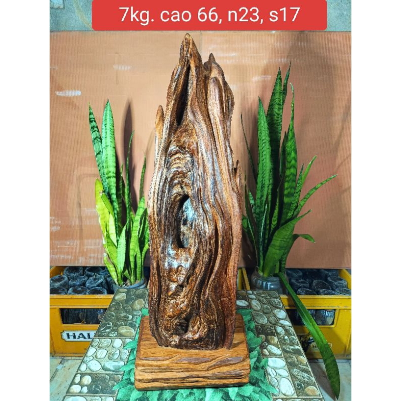 lũa gỗ thơm ngọc am hà giang