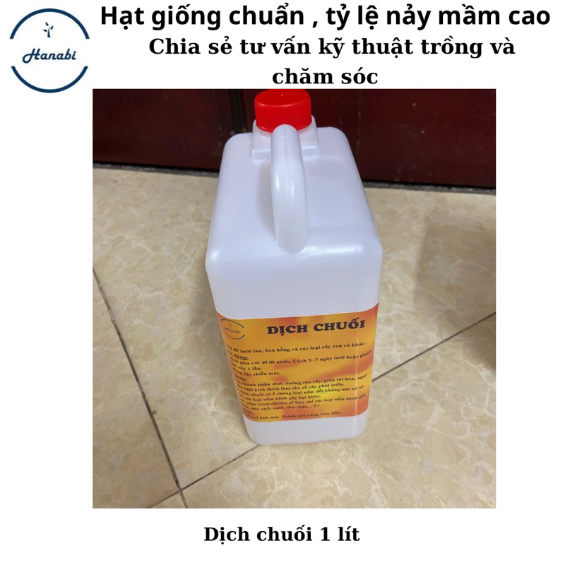 Dịch chuối