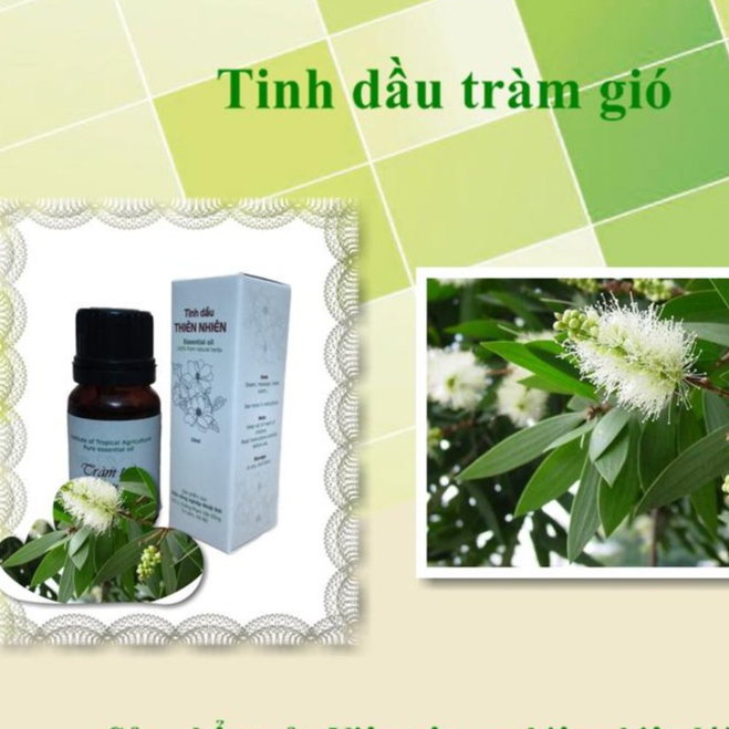 Tinh dầu tràm gió IAT