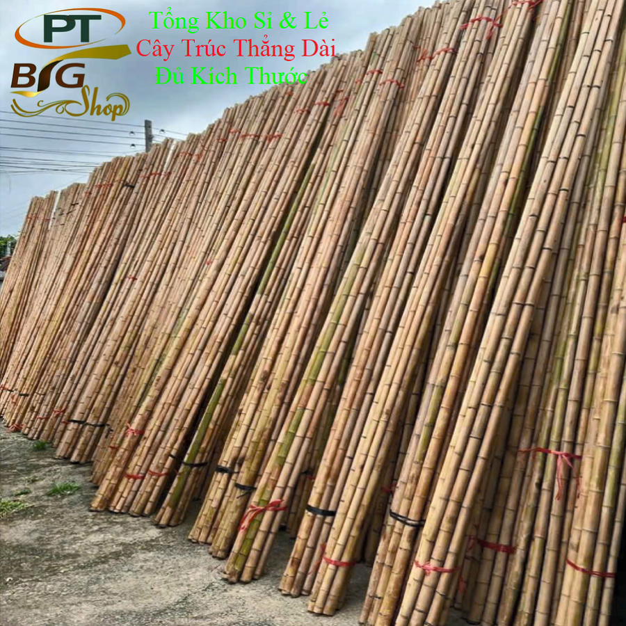 Cây Trúc Sào Thẳng Dài 2m Làm Hàng Rào Giàn Leo Mướp Bầu Đỡ Hồng Cắm Đậu Trúc Cán Cờ Banner Cọc Trại