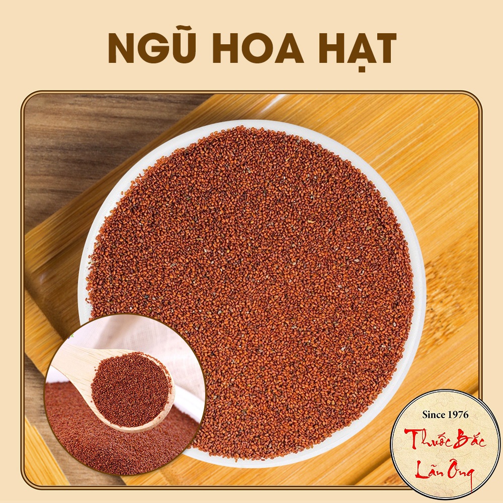 Hạt ngũ hoa 100g, hạt đinh lịch, ngũ hoa hạt đắp mặt nạ, giúp da mặt căng bóng, trắng sáng