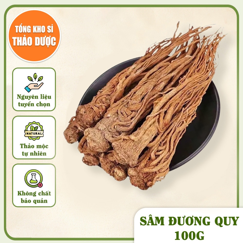 Sâm Đương Quy 100g (Củ Đương Quy)