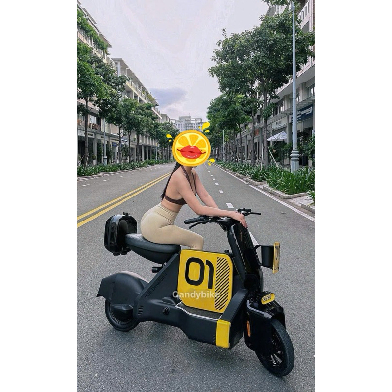 XE ĐẠP ĐIỆN TYPE ONE
