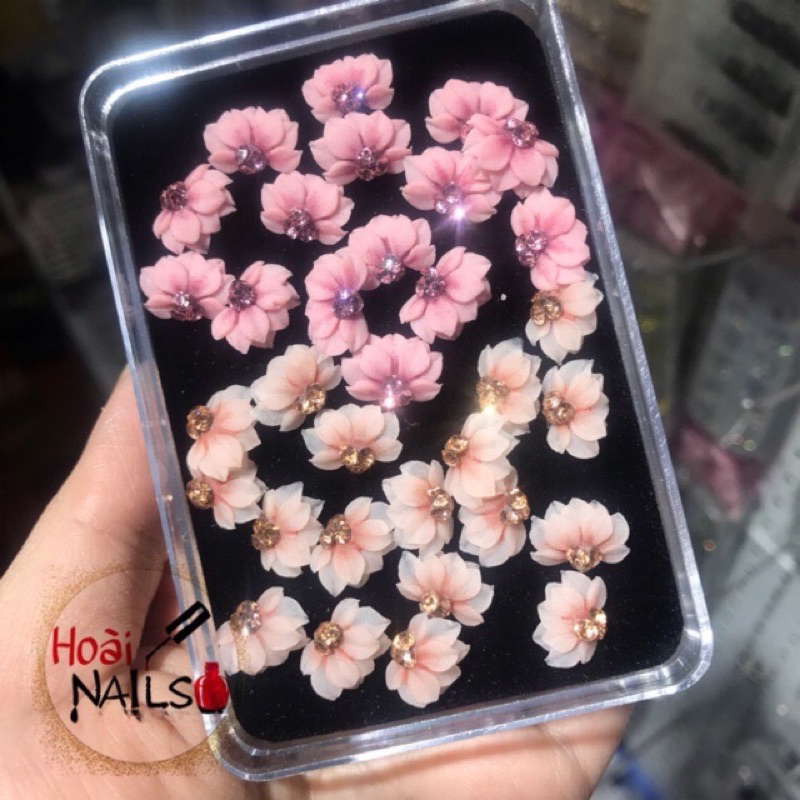 Hoa bột cúc nửa (1 bông)