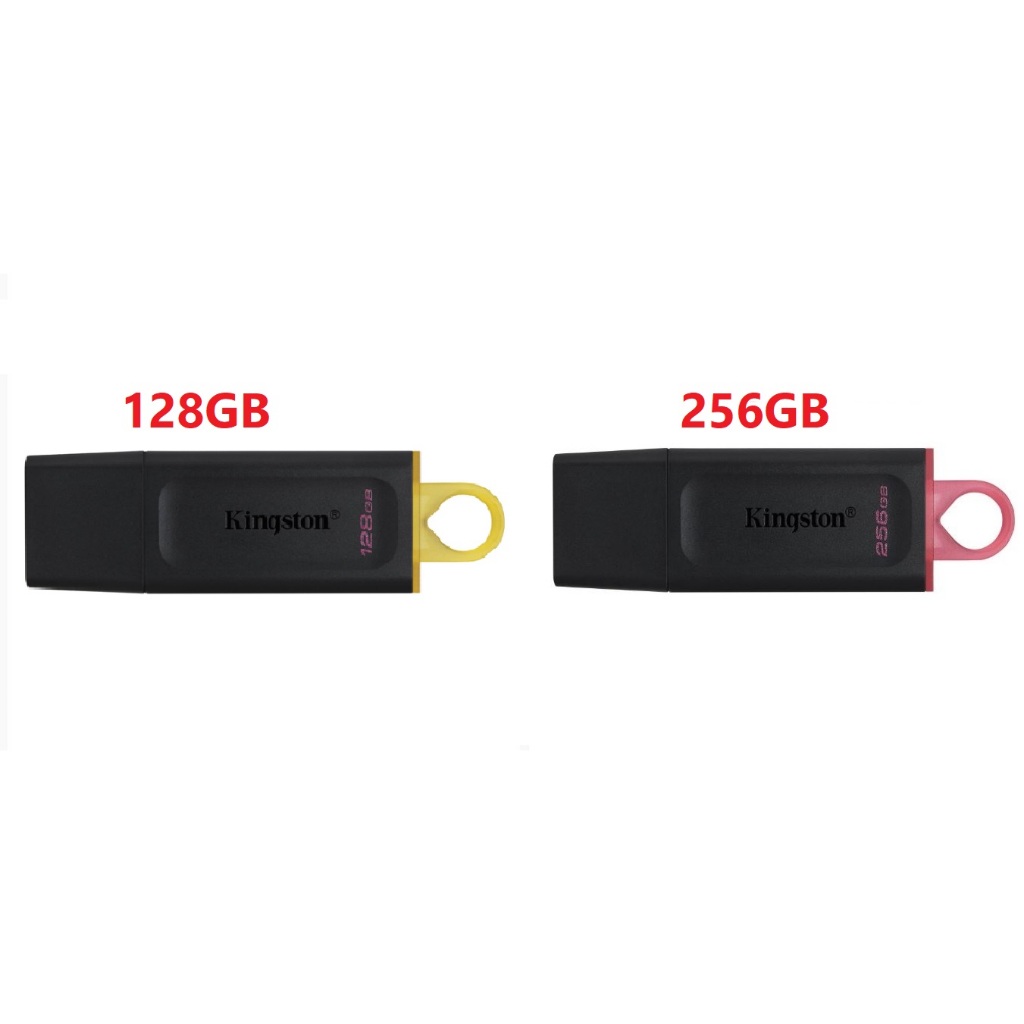 USB  ( 128GB , 256GB )  Kingston DTX